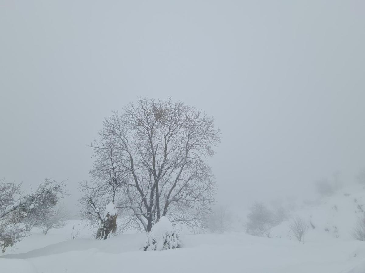 The Kanatal Arbour Exteriör bild